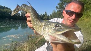 Northern Pike