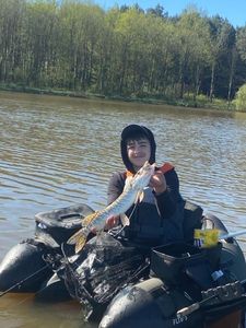 Northern Pike