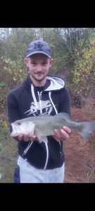 Largemouth Bass