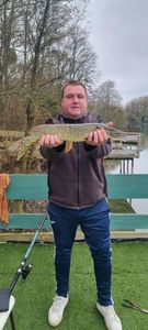 Northern Pike