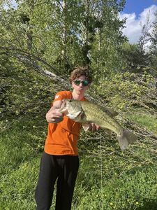 Smallmouth Bass