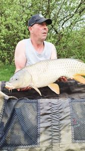 Mirror Carp
