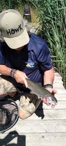 Rainbow Trout