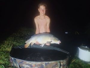 Mirror Carp