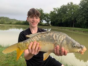 Mirror Carp