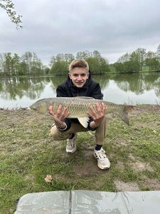 Grass Carp