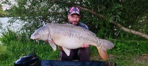 Mirror Carp