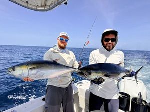 Yellowfin Tuna