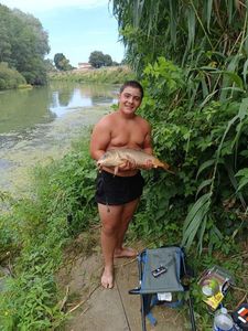 Common Carp