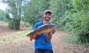 Common Carp