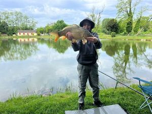 Common Carp