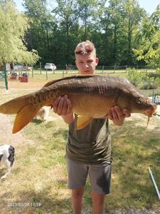 Common Carp