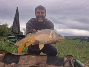 Mirror Carp