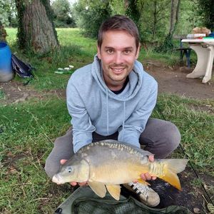Mirror Carp