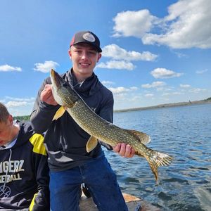 Northern Pike