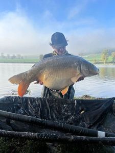 Mirror Carp