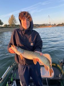 Northern Pike
