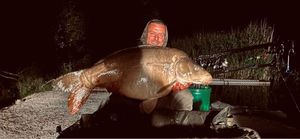 Leather Carp