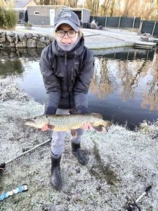 Northern Pike