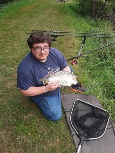 Mirror Carp