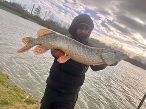 Northern Pike