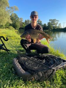 Mirror Carp