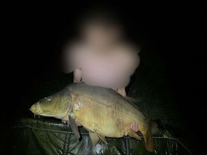 Leather Carp