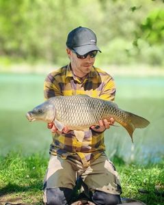 Common Carp