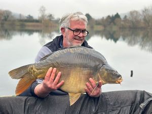 Mirror Carp