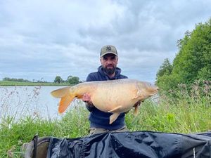 Mirror Carp