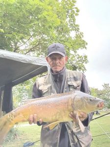 Mirror Carp