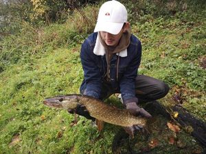 Northern Pike