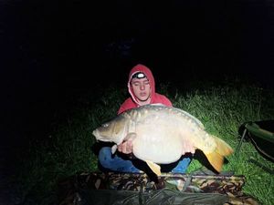 Mirror Carp