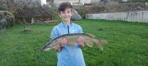 Northern Pike