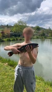 Rainbow Trout