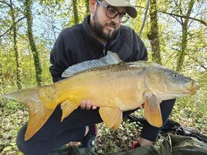 Mirror Carp