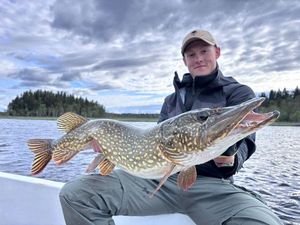 Northern Pike