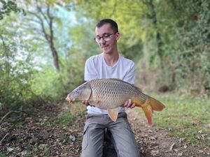 Common Carp