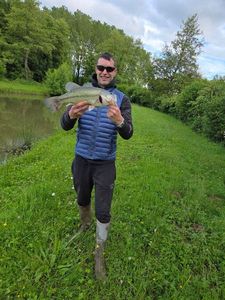 Largemouth Bass