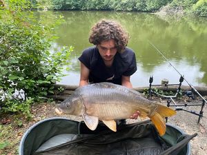 Mirror Carp
