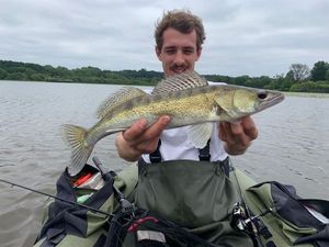 Zander