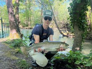 Rainbow Trout
