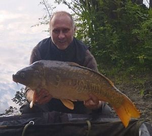 Mirror Carp