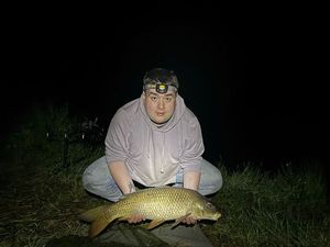 Common Carp