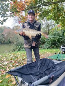 Common Carp