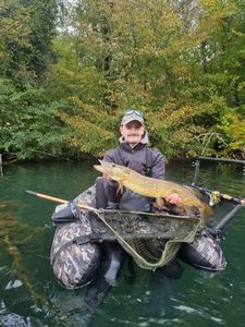 Northern Pike