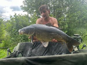 Mirror Carp