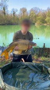 Mirror Carp