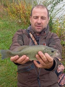 Largemouth Bass