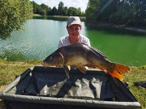 Mirror Carp